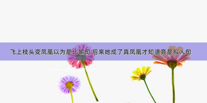 飞上枝头变凤凰以为是比喻句 后来她成了真凤凰才知道竟是拟人句