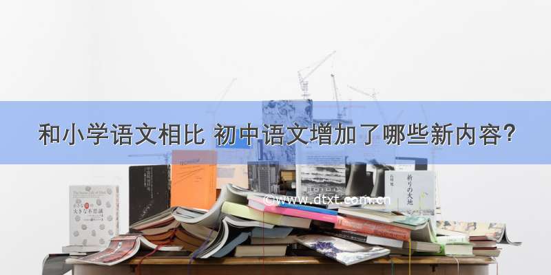 和小学语文相比 初中语文增加了哪些新内容？