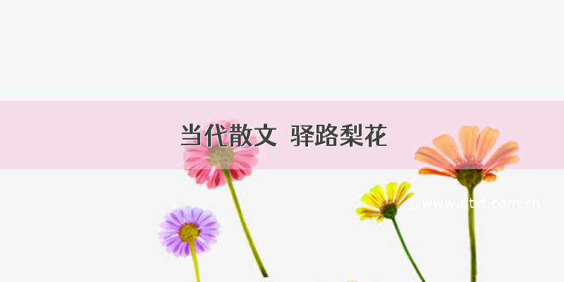 当代散文｜驿路梨花