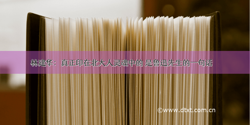 林建华：真正印在北大人灵魂中的 是鲁迅先生的一句话