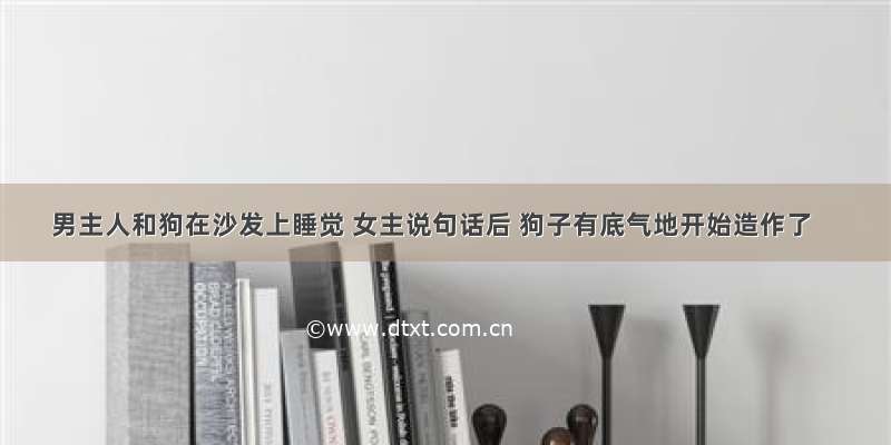 男主人和狗在沙发上睡觉 女主说句话后 狗子有底气地开始造作了