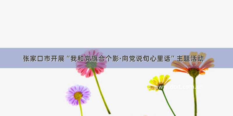 张家口市开展“我和党旗合个影·向党说句心里话”主题活动