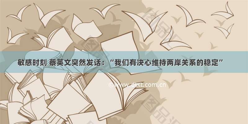 敏感时刻 蔡英文突然发话：“我们有决心维持两岸关系的稳定”