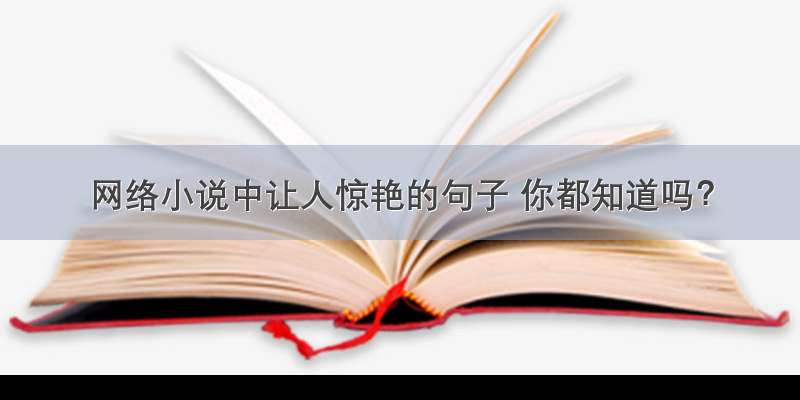 网络小说中让人惊艳的句子 你都知道吗？