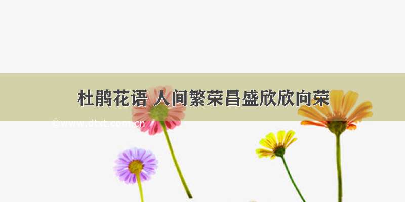 杜鹃花语 人间繁荣昌盛欣欣向荣