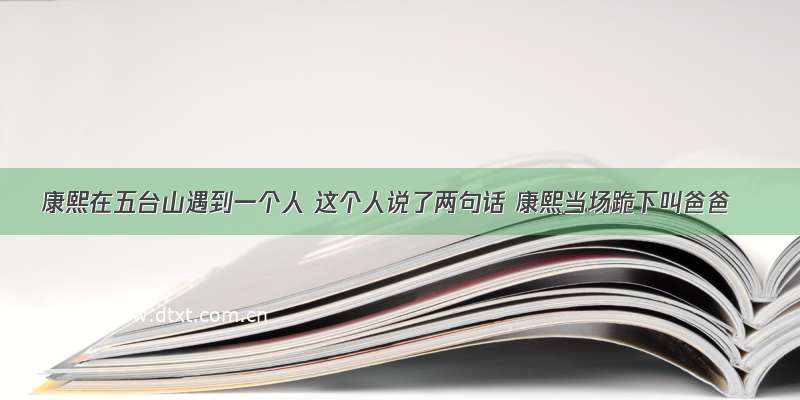 康熙在五台山遇到一个人 这个人说了两句话 康熙当场跪下叫爸爸