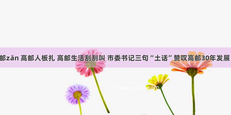 高邮zǎn 高邮人板扎 高邮生活刮刮叫 市委书记三句“土话”赞叹高邮30年发展