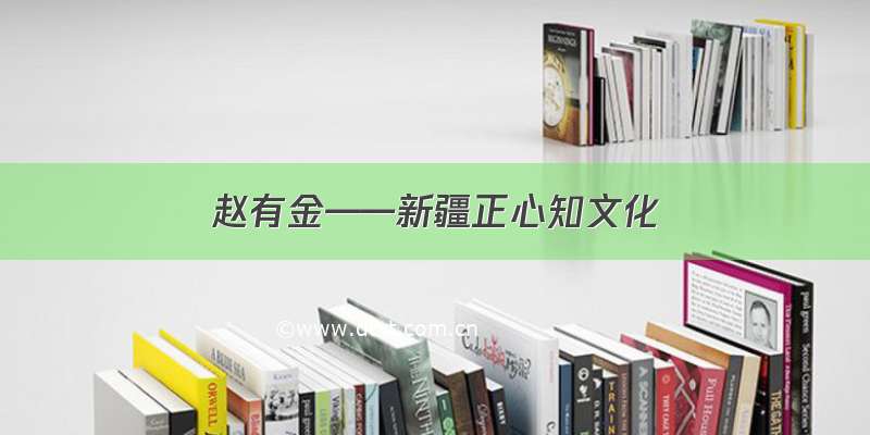 赵有金——新疆正心知文化