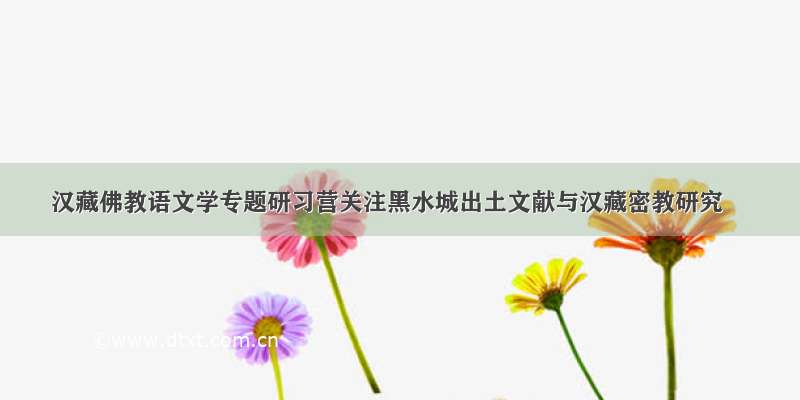 汉藏佛教语文学专题研习营关注黑水城出土文献与汉藏密教研究