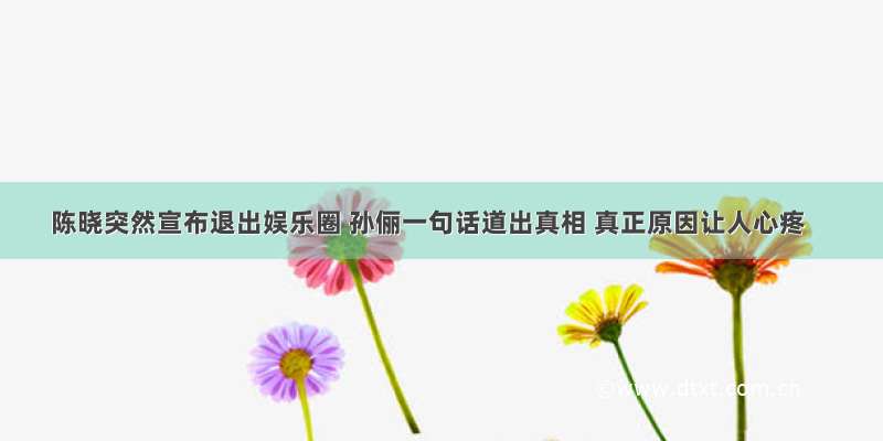 陈晓突然宣布退出娱乐圈 孙俪一句话道出真相 真正原因让人心疼