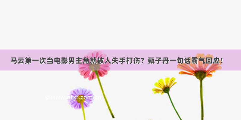 马云第一次当电影男主角就被人失手打伤？甄子丹一句话霸气回应！