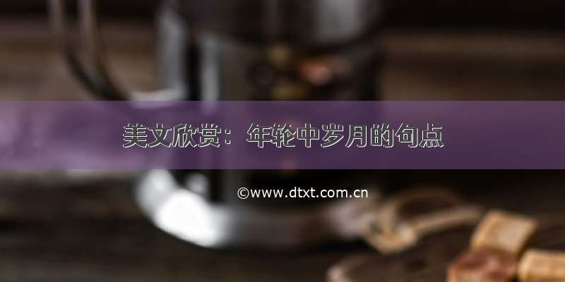 美文欣赏：年轮中岁月的句点