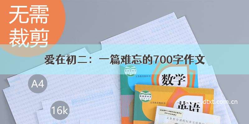 爱在初二：一篇难忘的700字作文