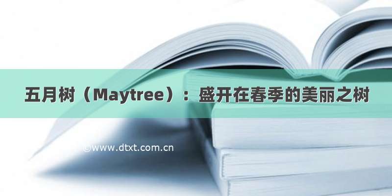 五月树（Maytree）：盛开在春季的美丽之树