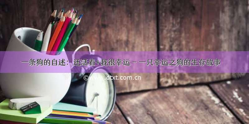 一条狗的自述：还活着+我很幸运 - 一只幸运之狗的生存故事