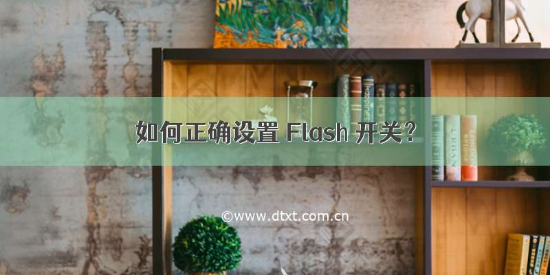 如何正确设置 Flash 开关？