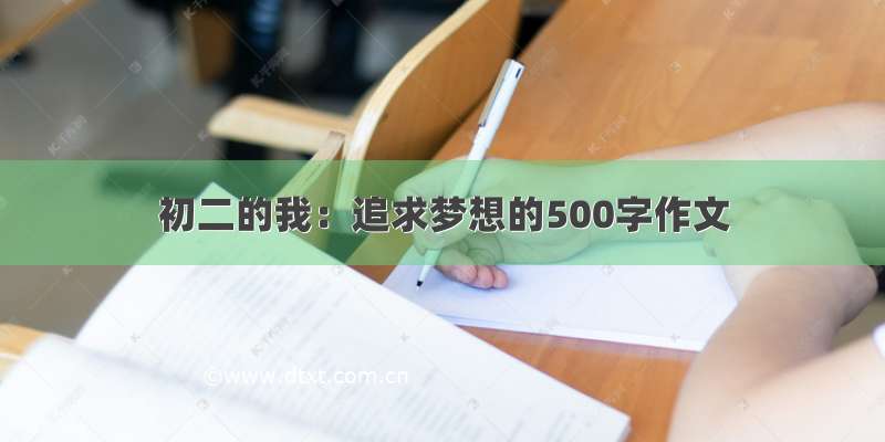 初二的我：追求梦想的500字作文