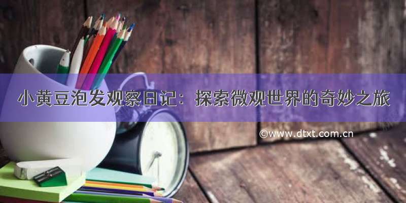 小黄豆泡发观察日记：探索微观世界的奇妙之旅