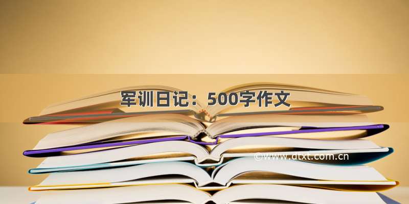 军训日记：500字作文