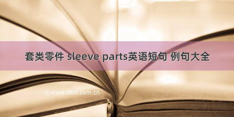 套类零件 sleeve parts英语短句 例句大全