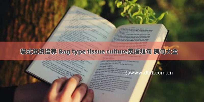 袋式组织培养 Bag type tissue culture英语短句 例句大全