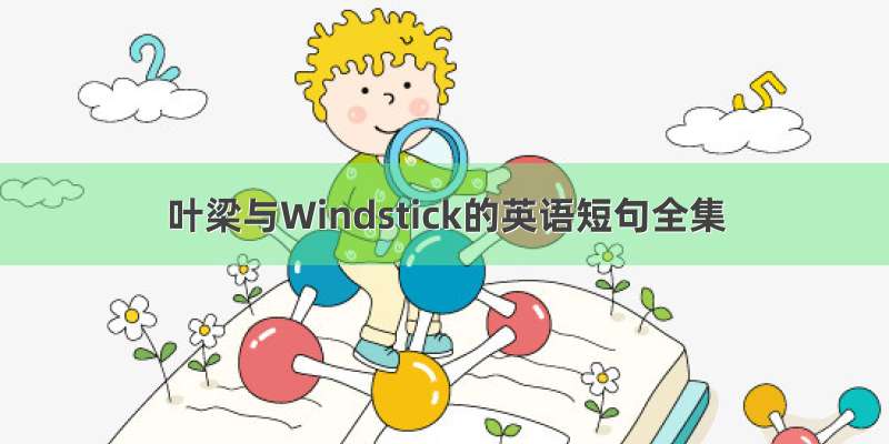 叶梁与Windstick的英语短句全集