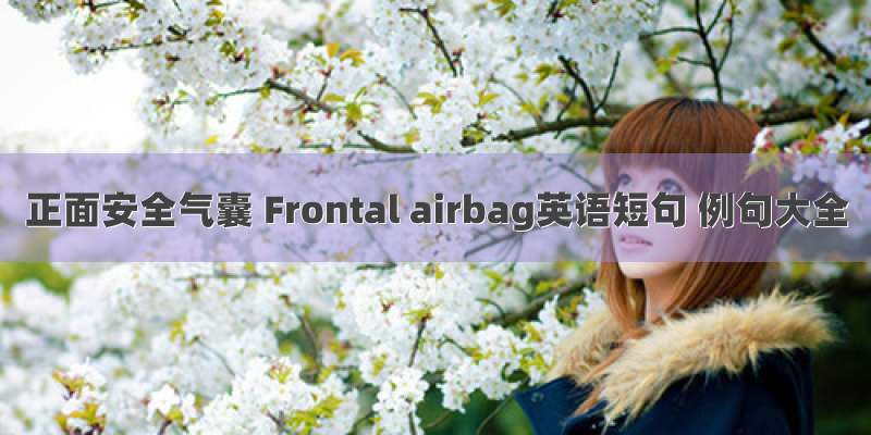 正面安全气囊 Frontal airbag英语短句 例句大全