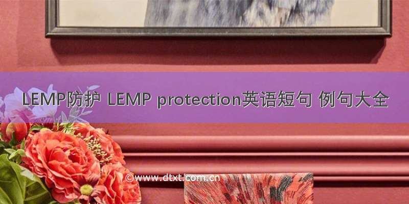 LEMP防护 LEMP protection英语短句 例句大全