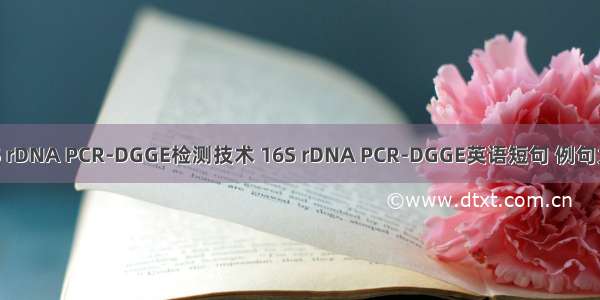 16S rDNA PCR-DGGE检测技术 16S rDNA PCR-DGGE英语短句 例句大全