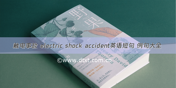 触电事故 electric shock accident英语短句 例句大全