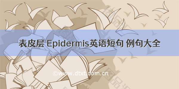 表皮层 Epidermis英语短句 例句大全