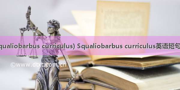 赤眼鳟(Squaliobarbus curriculus) Squaliobarbus curriculus英语短句 例句大全